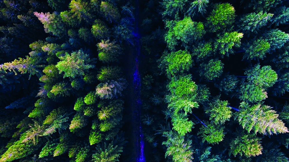 Incomac - sust_prefooter1